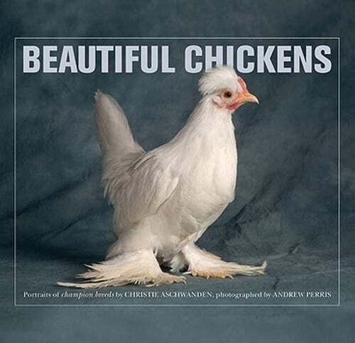 Beautiful Chickens by Christie Aschwanden: Used