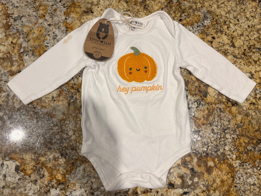 rabbit + bear hey pumpkin bodysuit long sleeve 6-9 months