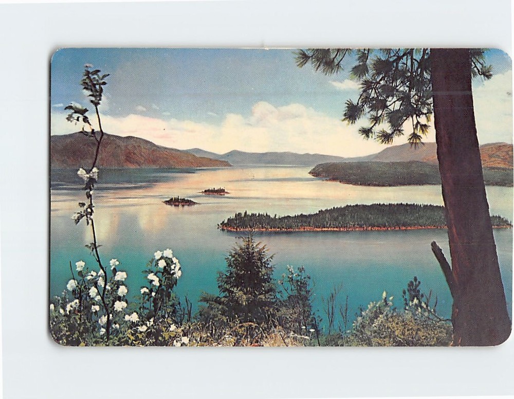 Postcard Syringa Time Lake Pend Oreille North Idaho USA