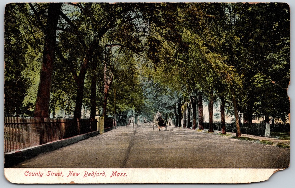 County Street New Bedford Massachusetts Carriage Scene ANTIQUE Postcard
