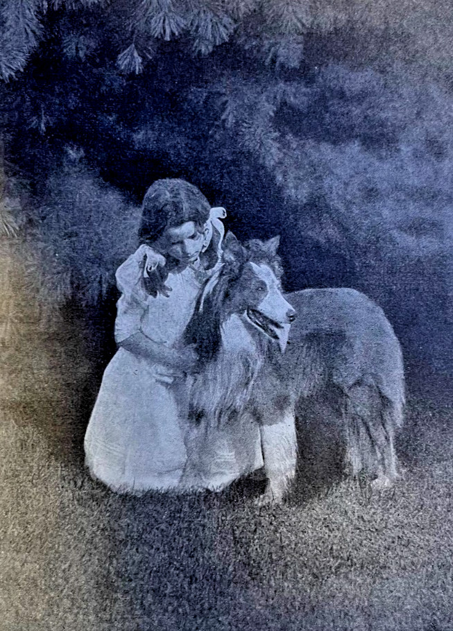 1906 American Children In the Country illustrated