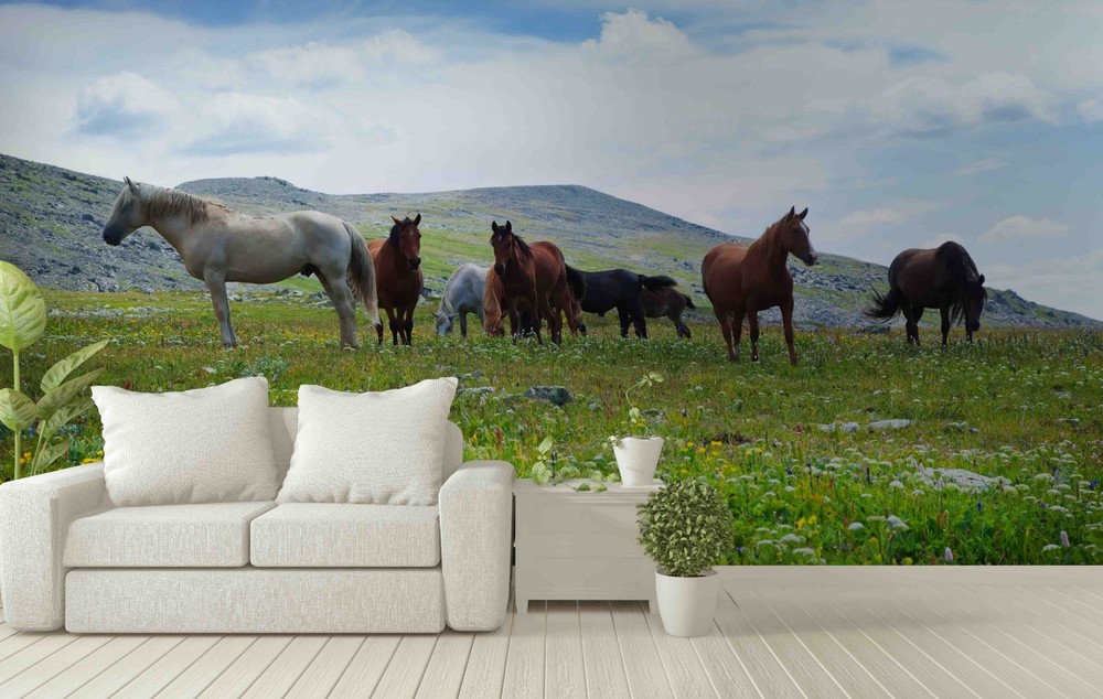 3D Mountains Fields Horses Landscape Wall Murals Wallpaper Murals Wall Sticker