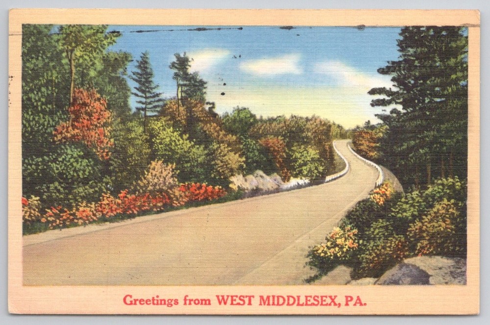 West Middlesex PA Vintage Linen Postcard Scenic Road Fall Foliage 1965 Postmark