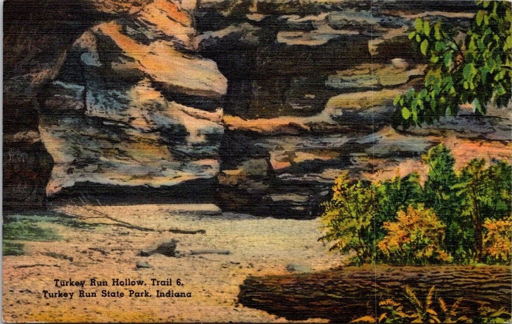 1940s View of Turkey Run Hollow State Park Indiana Vintage Postcard