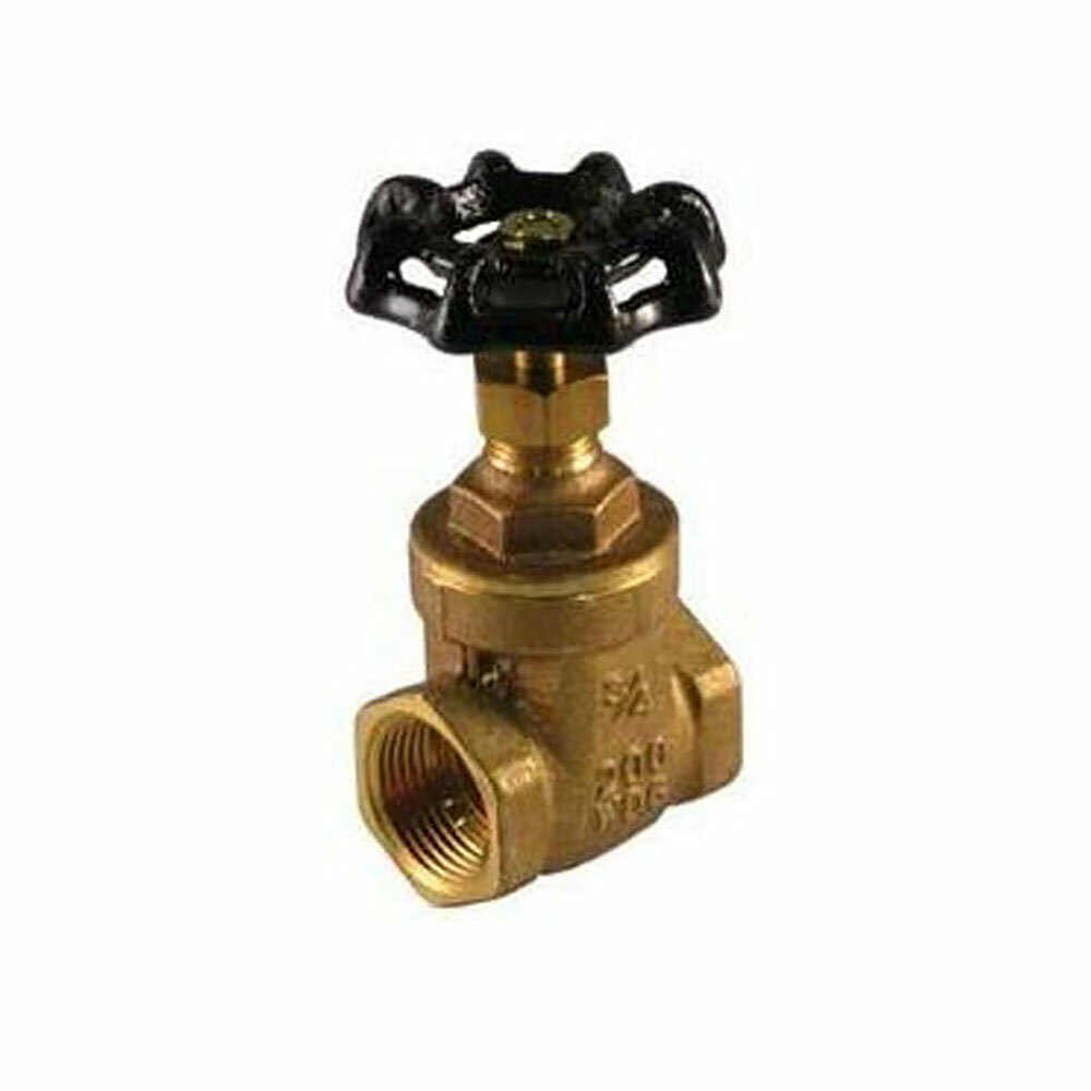 Thrifco 1/2 Ips Gate Valve Brass - 6415003