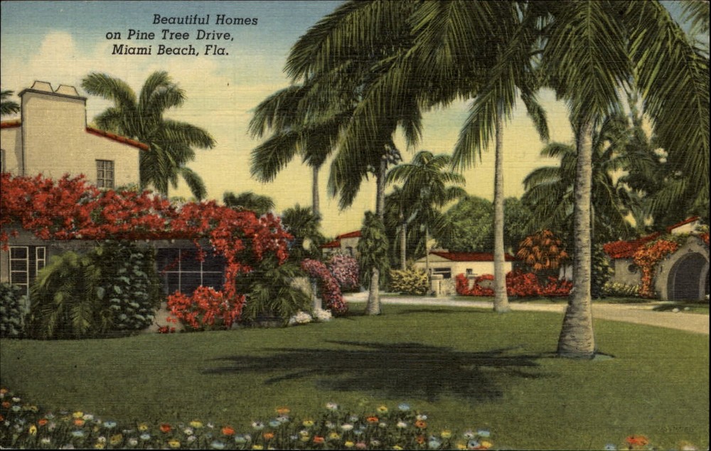 Homes Pine Tree Drive Miami Beach Florida palm trees ~ 1940s linen postcard