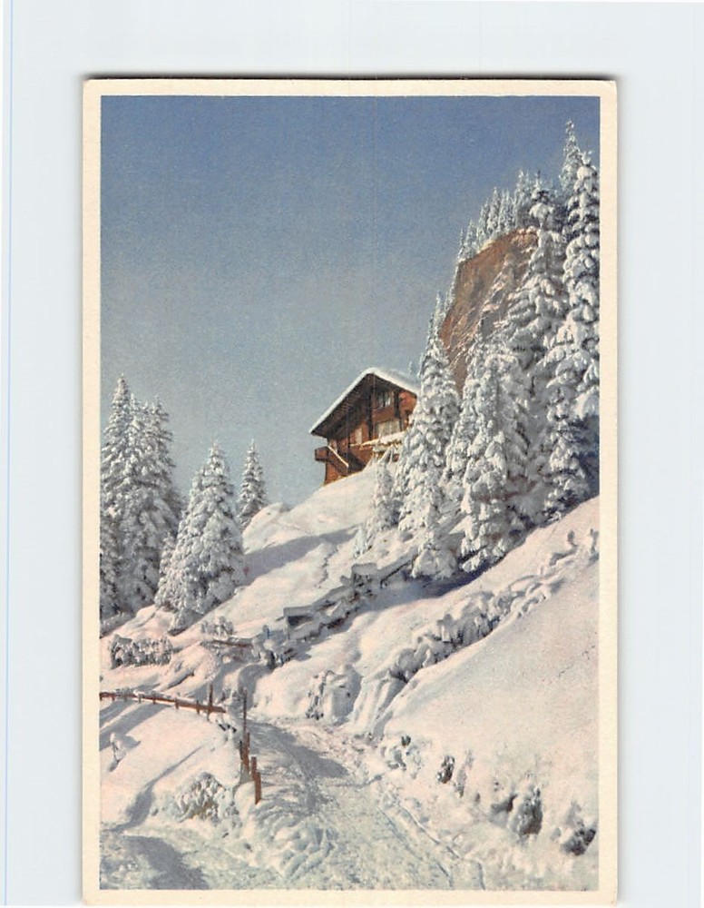 Postcard Trail Trees House Snow Landscape Scenery