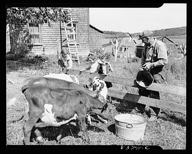 Fort Kent,Maine,ME,Aroostook County,Farm Security Administration,1942,FSA,79