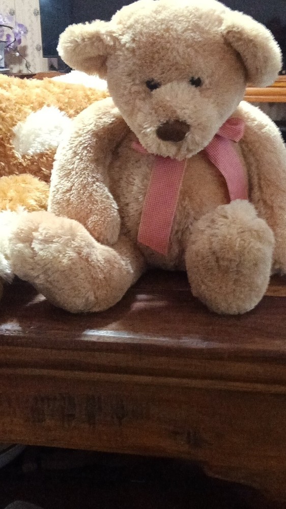 Beige Plush Teddy Bear with Bow and Brown Eyes.    14