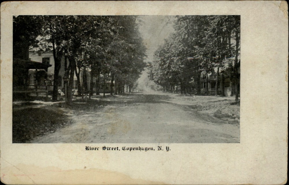 Copenhagen New York River Street trees road mailed 1908 vintage postcard