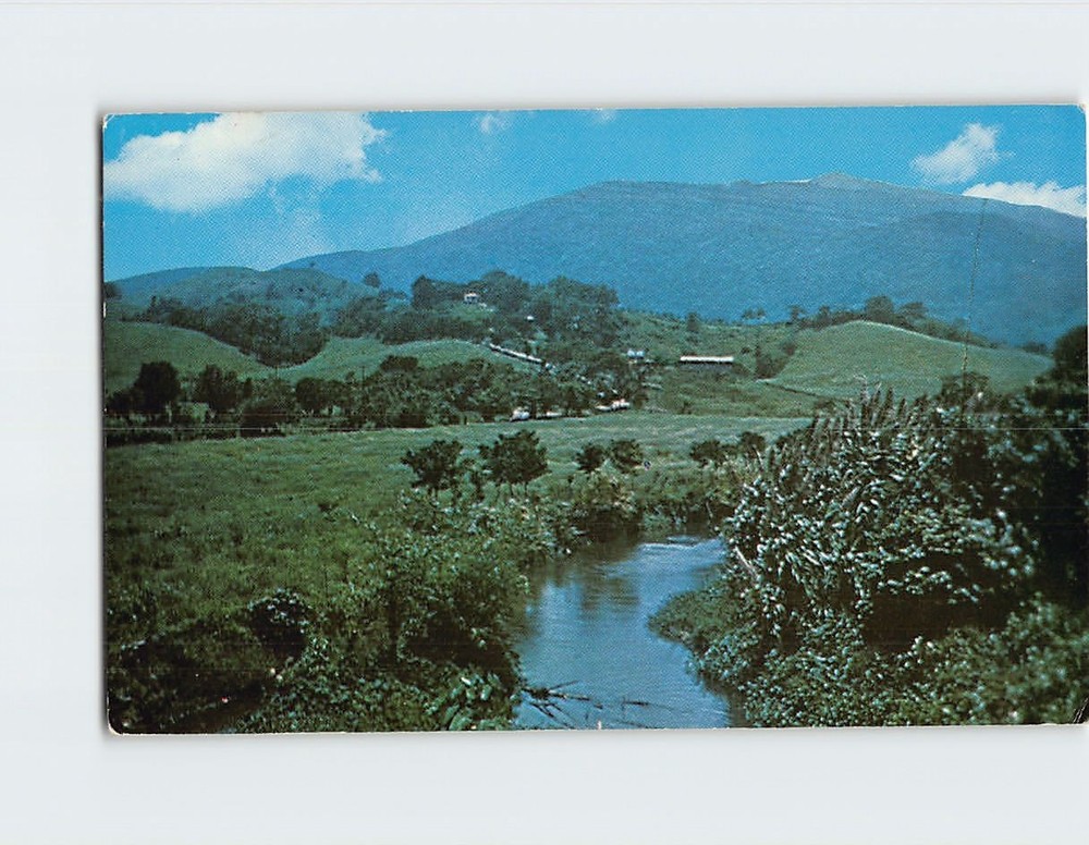 Postcard View of El Yunque Rain Forest Palmer Puerto Rico
