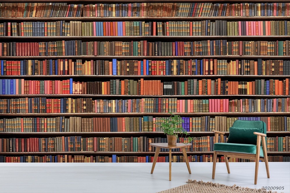 3D Library Books Bookshelf Wall Murals Wallpaper Murals Wall Sticker
