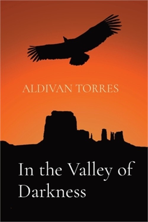 In the Valley of Darkness (Paperback or Softback)