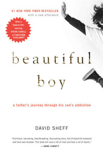 Beautiful Boy: A Father's Journey Through His Son's Addiction - Paperback - GOOD