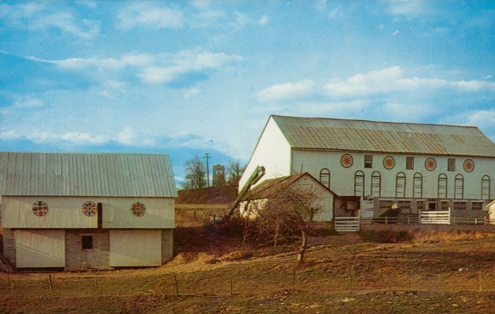 Greetings From The Penna Dutch Country Hex Signs Barn Pennsylvania PA Postcard