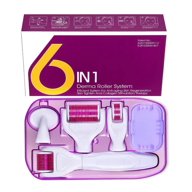 6 In 1 Microneedle Derma Roller Kit for facial care (3 Rollers + Stamp + Extras)