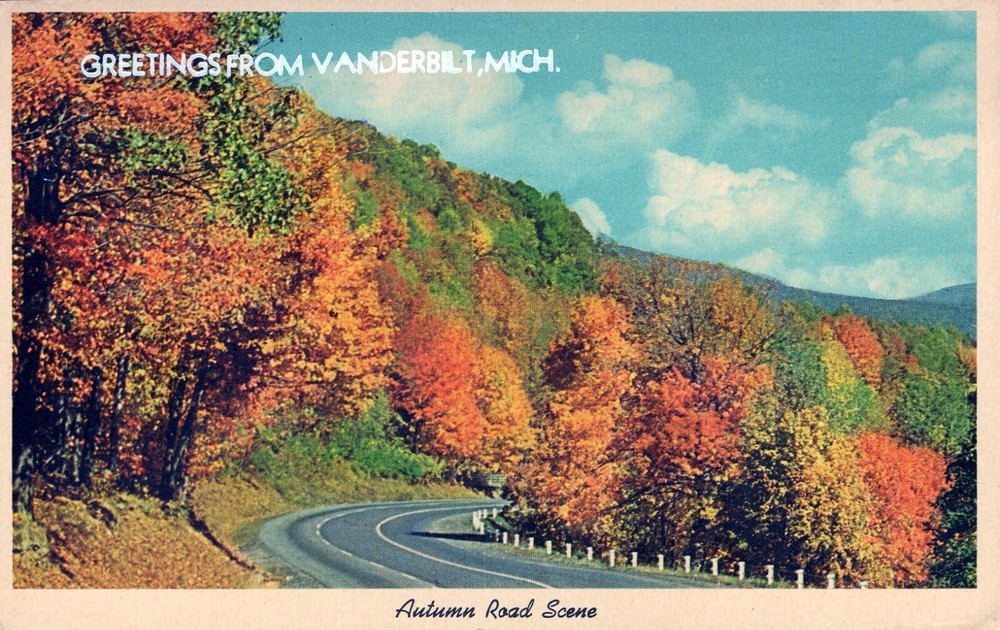 Greetings From Vanderbilt Michigan Postcard
