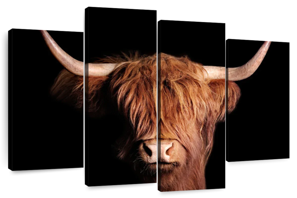 Scottish Highland Cow Wall Art