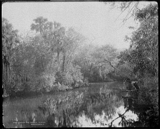 Photo:Down the Tomoka, Florida