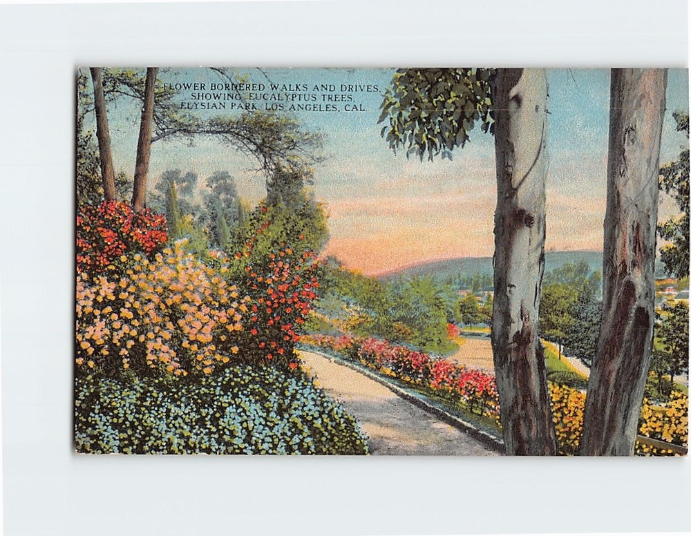 Postcard Flower Bordered Walks & Drives Elysian Park Los Angeles California USA