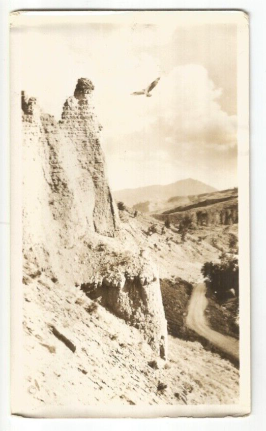 RP MONTANA YELLOWSTONE NATIONAL PARK  REAL PHOTO J E  HAYNES PHOTO EAGLE OSPREY