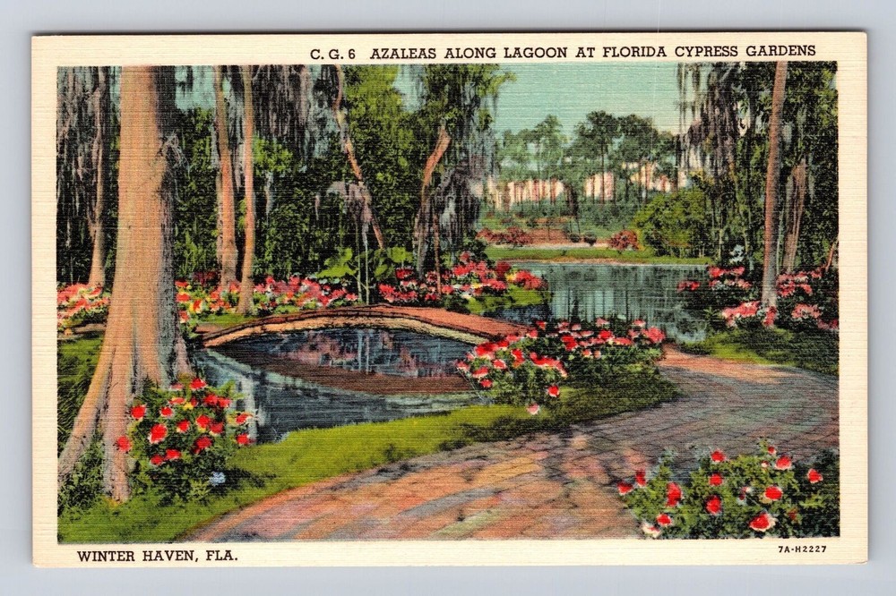 Winter Haven FL-Florida, Azaleas, Lagoon, Cypress Gardens Vintage Postcard