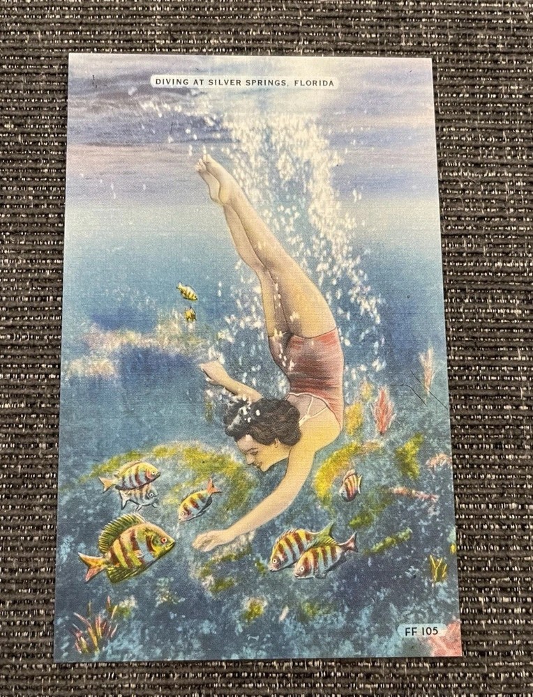 Vintage Linen Postcard Ocala, FL~ Pretty Girl Diving Into Silver Springs