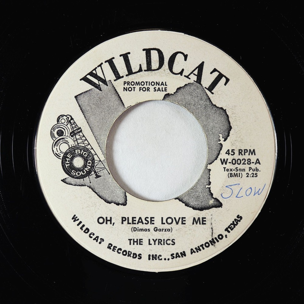 Doo-Wop/R&B 45 - Lyrics - Oh, Please Love Me - Wildcat - promo!