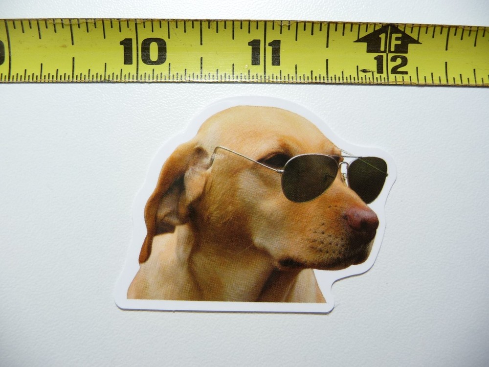 Funny Labrador Shades Dog Decal Sticker for Pets