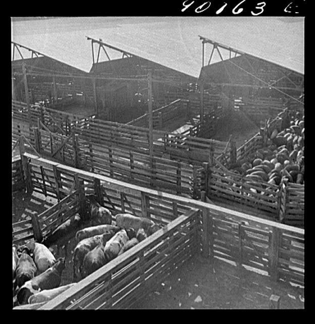 Union Stockyards,Omaha,Douglas County,Nebraska,NE,Marion Post Wolcott,FSA,22