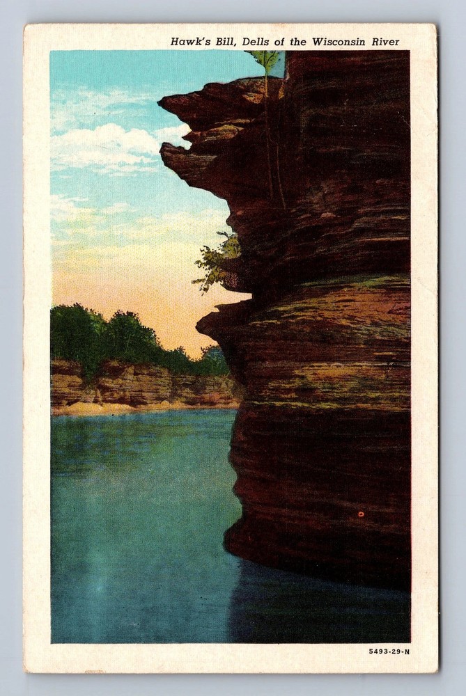 Wisconsin Dells WI-Wisconsin Hawk's Bill Wisconsin River Vintage Postcard