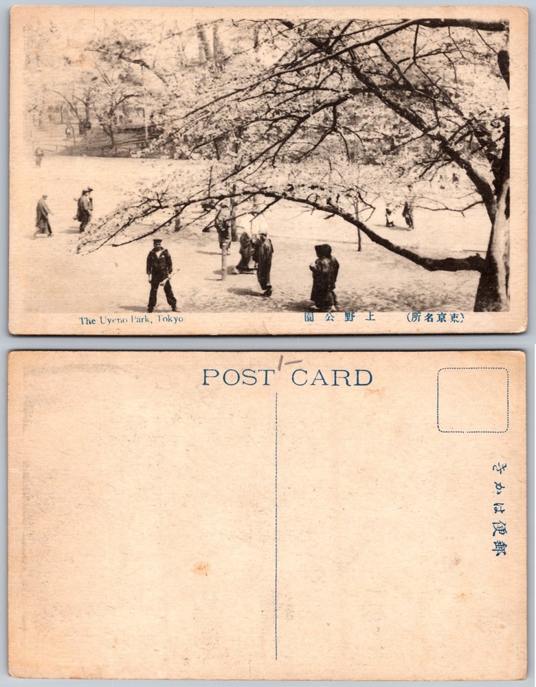 Uyeno Park Tokyo Japan Cherry Blossoms Postcard