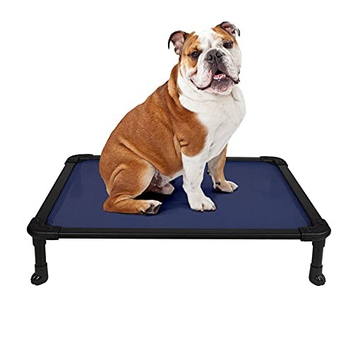 Chew Proof Cooling Elevated Dog Bed 32x25 Inches Raised Pet Cot Blue