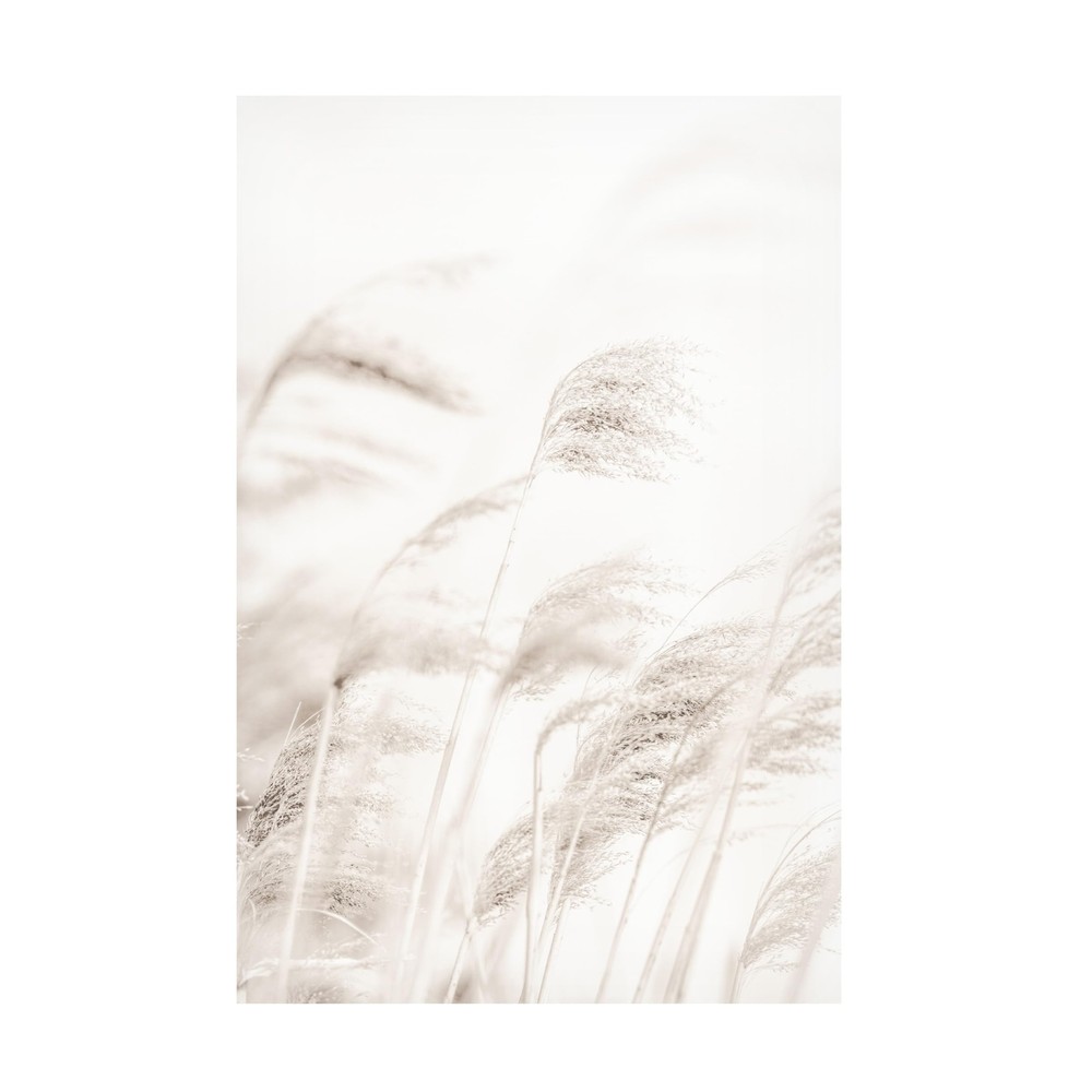 Canvas Wall Art - Pictufy Studio 'Reed' Wall Art for Living Room, Bedroom, or...