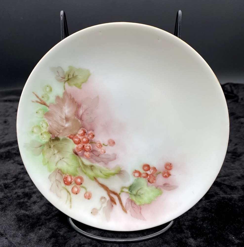 Antique Thomas Sevres Bavaria Hand Painted 6