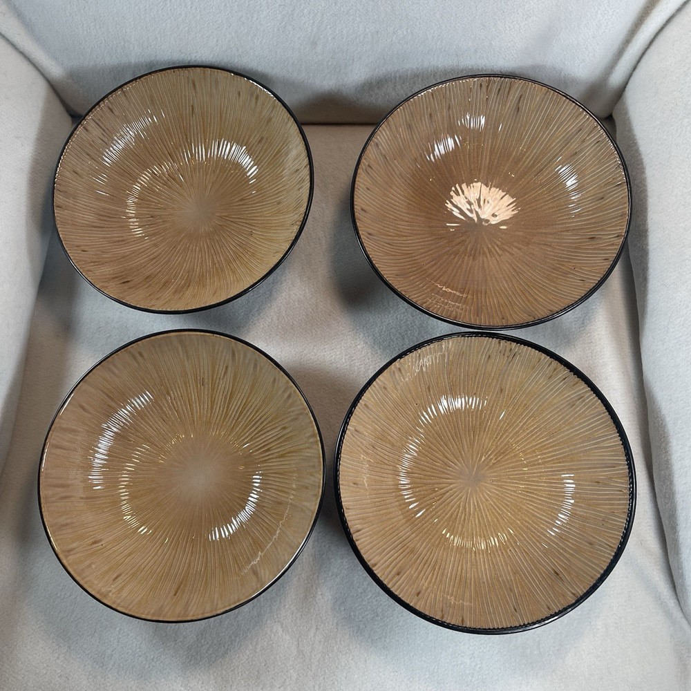 Sakura Bombay Port Of Call Coupe Soup Bowl Lt Brown W/ Dark Brown Back Set 4