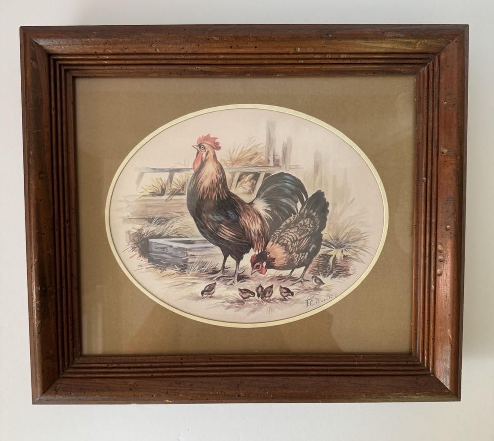 VTG Framed Matted Chicken Rooster Hen Chicks Rustic Farmhouse T.C. Morris 14x12