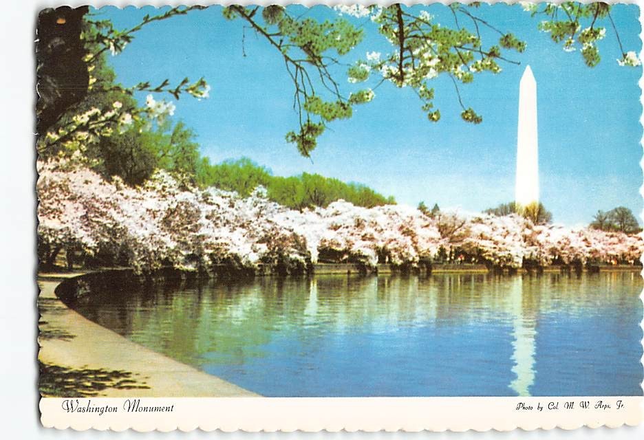 Postcard Washington Monument Washington DC USA