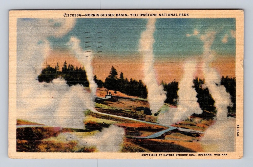 Yellowstone National Park, Norris Geyser Basin, Antique, Vintage c1953 Postcard