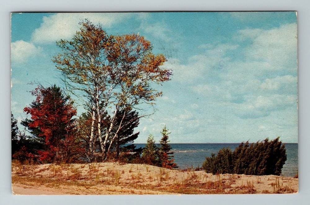MI-Michigan, Great Lakes Shoreline, Scenic View, Vintage Postcard