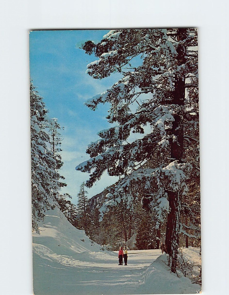 Postcard Enjoying A Walk In Wintertime  Pocono Mountains Pennsylvania