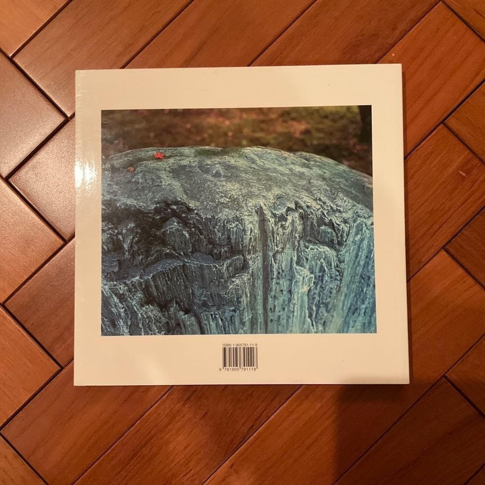 Wim Wenders Pictures from the Surface of the Earth Picture Photobook Used