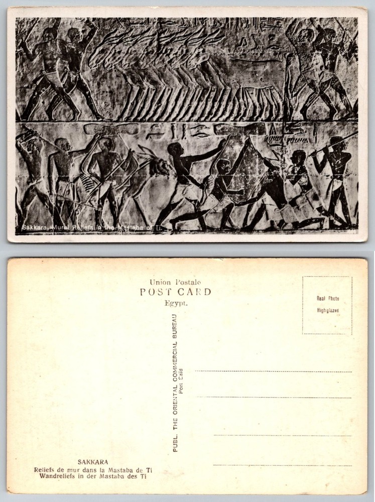 Sakkara Egypt Real Photo Postcard Mastaba of Ti Ancient Mural Reliefs RPPC