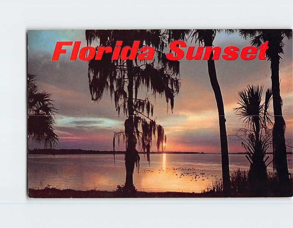 Postcard Sunset Scene in Florida USA
