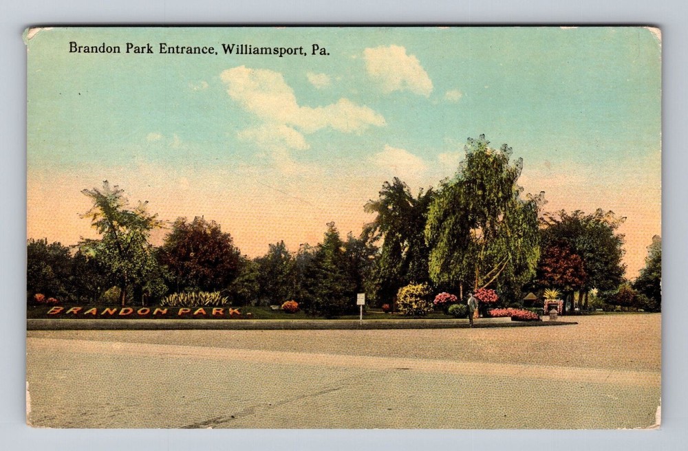 Pennsylvania PA Williamsport Brandon Park Entrance Vintage Postcard