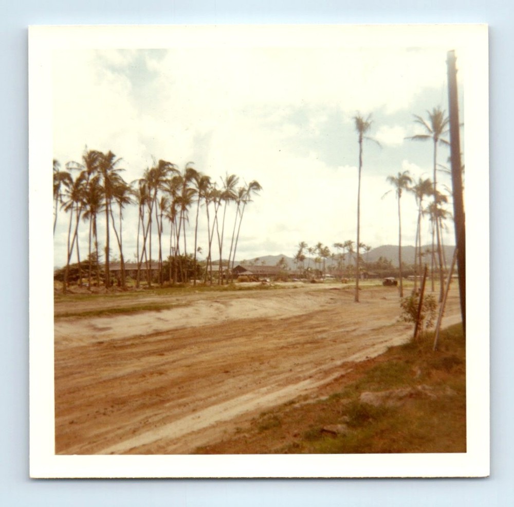 Old Vintage Square Color Photo PALM TREES TROPICAL ISLAND LANDSCAPE SNAPSHOT