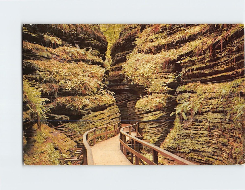 Postcard Moss Chamber Cold Water Canyon Wisconsin Dells USA North America
