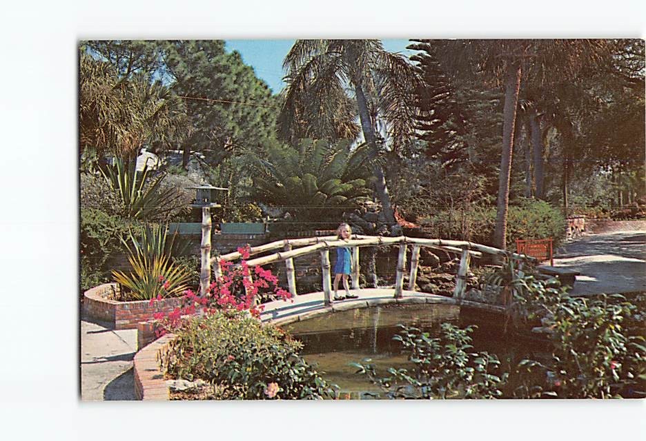 Postcard Bamboo Bridge Sarasota Jungle Gardens Florida USA