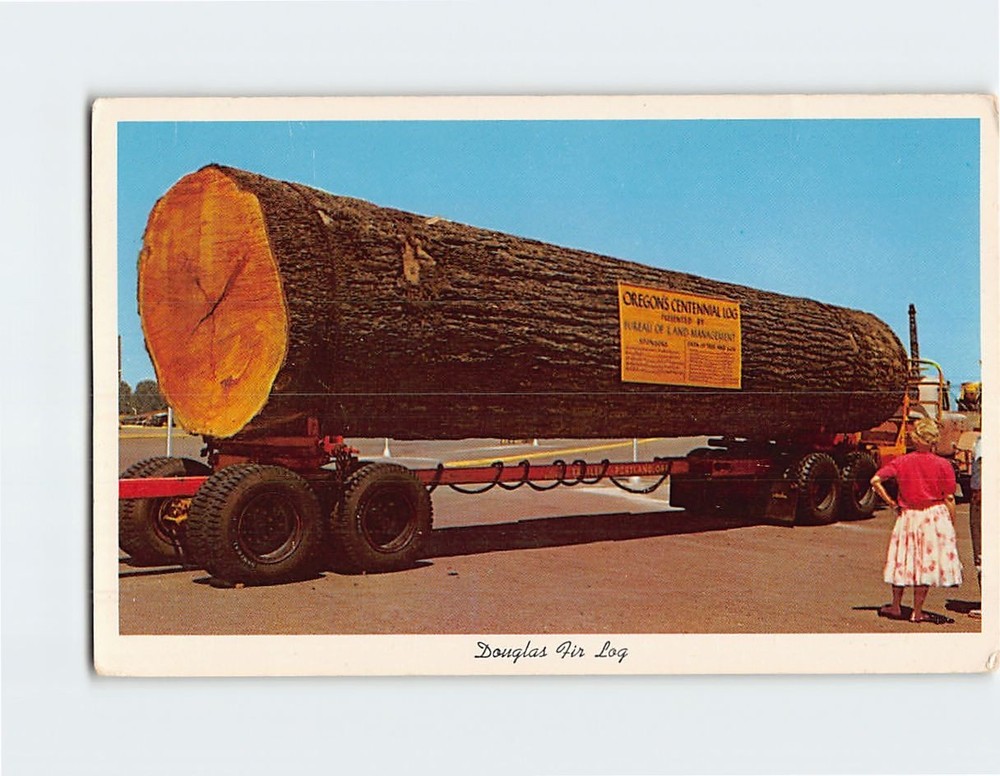 Postcard Douglas Fir Log Oregon USA