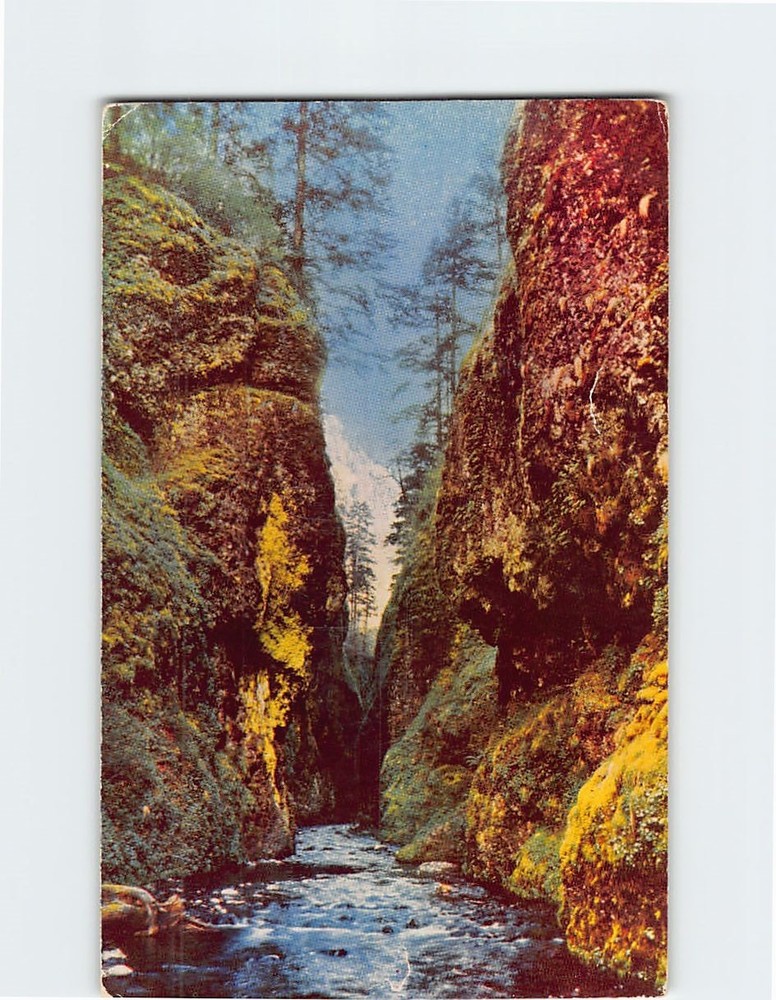 Postcard Oneonta Gorge Columbia River Highway Oregon USA